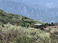 -大觉寺-停车场