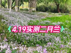 -望湖公园