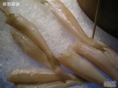 沙丁鱼-岷山饭店-芝芝自助餐厅