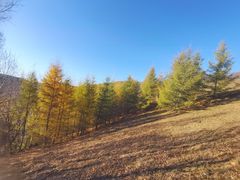 -塞罕坝国家级自然保护区