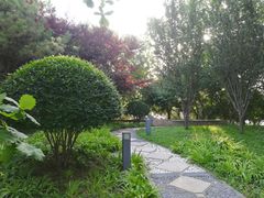 -北京国家会计学院