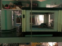 -雨林宠物医院 非犬猫异宠专科