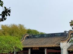 -顺峰山公园