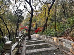 -灵岩山风景区