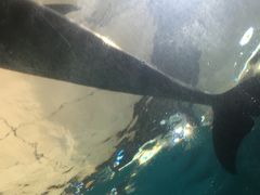 -波塞冬旅游度假区