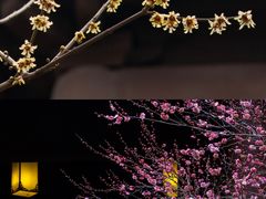 -慧因高丽寺