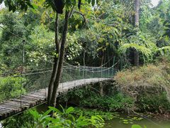 -中国科学院西双版纳热带植物园