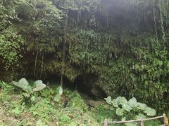 -海口火山口国家地质公园