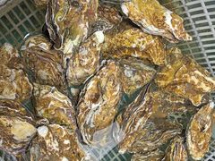 -兆辉木炭海鲜烧烤·海鲜小炒