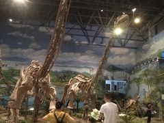 -自贡恐龙博物馆