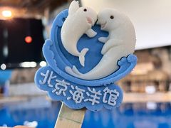 -北京海洋馆