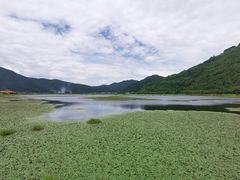 -腾冲北海湿地