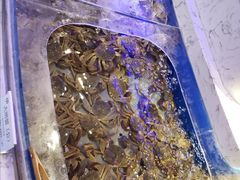 -澜悦港海鲜体验主题餐厅