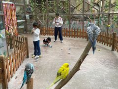 -杭州开元森泊度假乐园