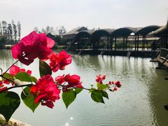 -乌村