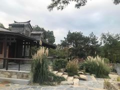-黄陂区野村谷景区
