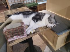 -小时光咖啡馆(开森度假森林店)