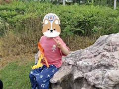 -春花秋色城市公园