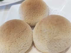 雪顶雄峰-利苑酒家(金宝店)