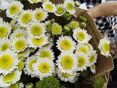 -广东轻工职业技术大学(新港校区)