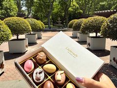 -Laderach 莱德拉(上海环贸iapm店)