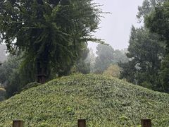 -武侯墓风景区