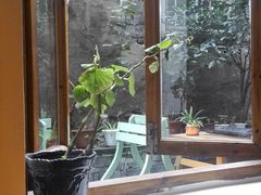 -猫的天空之城概念书店(西塘古镇店)