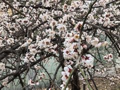-白塘生态植物园