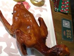 -大鸽饭(岗顶店)