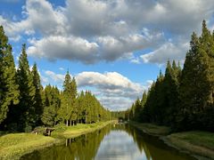 -黄海国家森林公园