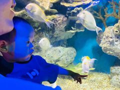 -福州罗源湾海洋世界旅游区