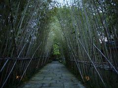 -新荣记(西溪湿地店)