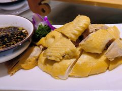 -松沪名灶·豆浆鱼头·新上海菜(飞航吾悦广场店)
