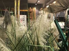 -符离集餐厅(万象城店)