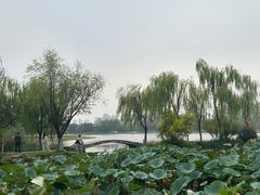 -武汉园博园(武汉自然博物馆)