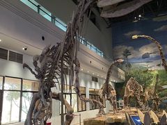 -自贡恐龙博物馆