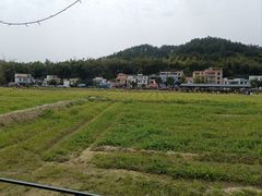 -红山村