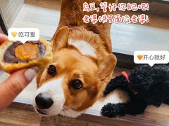 -诚志饼家·小凤饼非遗传承(中山六路店)