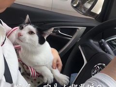 -甄爱宠物医院(疏影路店)