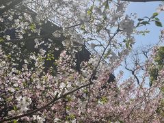 -徐家汇源景区-衡山公园