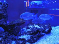 -上和臻品中国菜(花园街店)