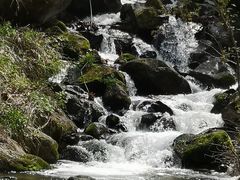 -秦岭终南山世界地质公园翠华山景区