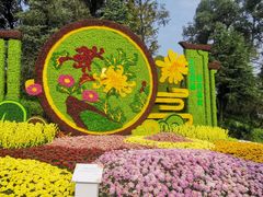 -南山植物园
