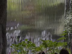 -青青世界
