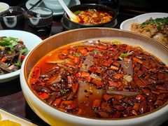 -陈麻婆豆腐总店