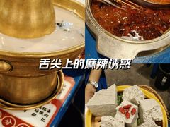 -胡掌柜·火锅串串香(安国市店)