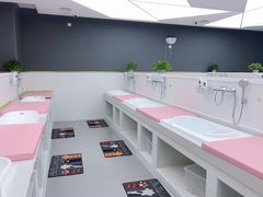 -沥鲨亲子游泳俱乐部(金沙洲中心)