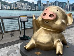-星光大道