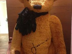 -济州岛泰迪熊博物馆