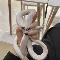 -Moni星球萌宠·小马宝莉·灵蛇·高端高阶全萌宠互动体验俱乐部(红豆国际广场店)